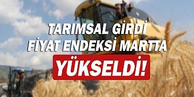 Tarımsal girdi fiyat endeksi yıllık yüzde 105,70 arttı!