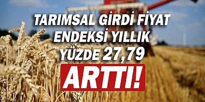 Tarımsal girdi fiyat endeksi yıllık yüzde 27,79 arttı!