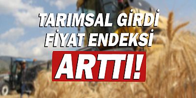 Tarımsal girdi fiyat endeksi yıllık yüzde 57,26 arttı!