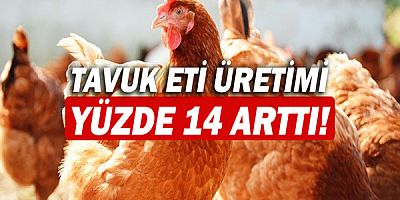 Tavuk eti üretimi yüzde 14 arttı!