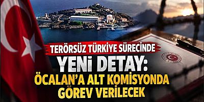 Terörsüz Türkiye Sürecinde Yeni Detay: Öcalan’a Alt Komisyonda Görev Verilecek