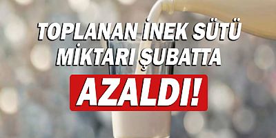 Toplanan inek sütü miktarı şubatta azaldı!