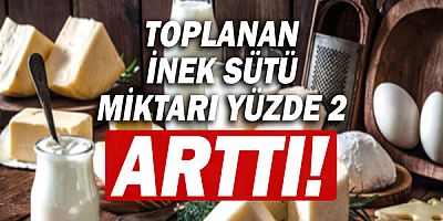 Toplanan inek sütü miktari yüzde 2 arttı!