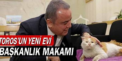 TOROS'UN YENİ EVİ BAŞKANLIK MAKAMI