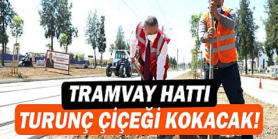 Tramvay hattı turunç çiçeği kokacak