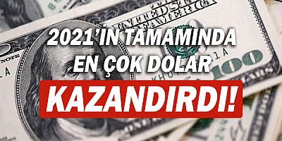 TÜİK açıkladı! 2021'in tamamında en çok dolar kazandırdı!