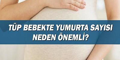 Tüp bebekte yumurta sayısı neden önemli?