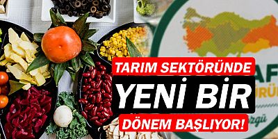 Marka Geliştirme ve Tanıtım Ajansı
