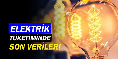 Türkiye’deki kişi başına düşen elektrik tüketimi açıklandı!