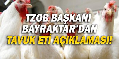 TZOB Genel Başkanı Bayraktar: “Tavuk eti üreticisi artan girdi maliyetlerini karşılayamıyor”