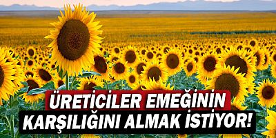 Üreticiler emeğinin karşılığını almak istiyor!