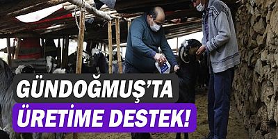 Üreticilere eğitim verildi parazit ilaçlaması yapıldı