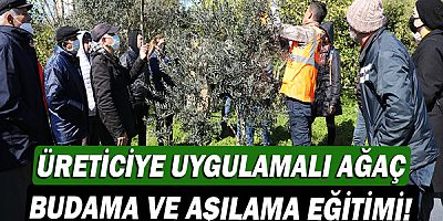 Üreticiye uygulamalı ağaç budama ve aşılama eğitimi!