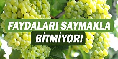  Üzümün Faydaları Nelerdir? 