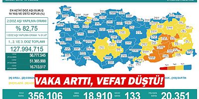 Vaka arttı, vefat düştü!