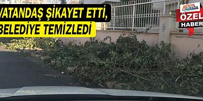Vatandaş şikayet etti, belediye temizledi