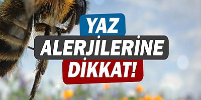 Yaz alerjilerine dikkat!