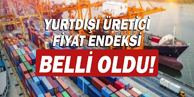 Yurt dışı üretici fiyat endeksi aylık yüzde 7,29 arttı!