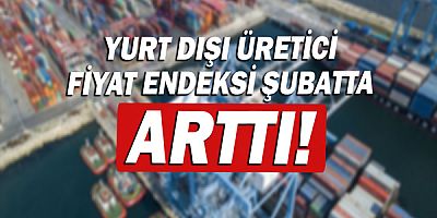 Yurt dışı üretici fiyat endeksi şubatta yüzde 106,13 arttı!