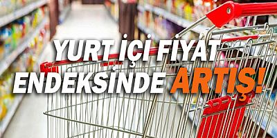 Yurt içi fiyat endeksinde artış!