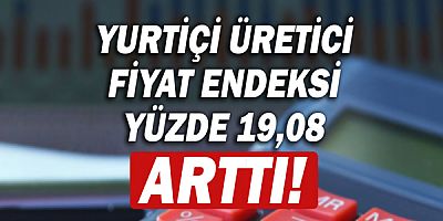 Yurt içi üretici fiyat endeksi arttı!
