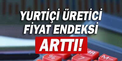 Yurt içi üretici fiyat endeksi arttı!
