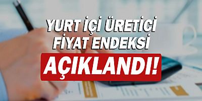 Yurt içi üretici fiyat endeksi arttı!