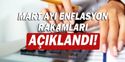Yurt içi üretici fiyat endeksi aylık %9,19 arttı!