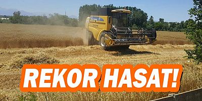 Ziraat Fakültesi buğday hasadında rekor kırdı