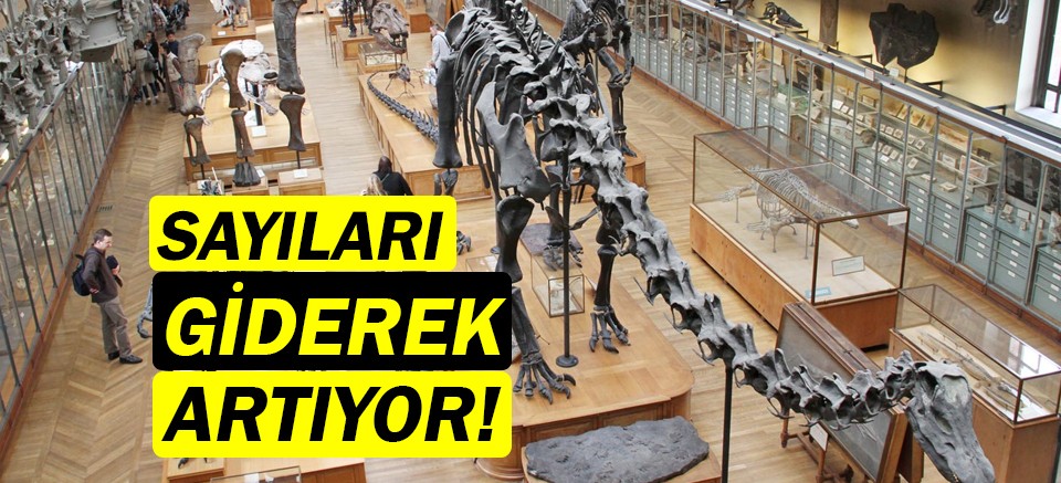 Türkiye'deki müze sayısı giderek artıyor!