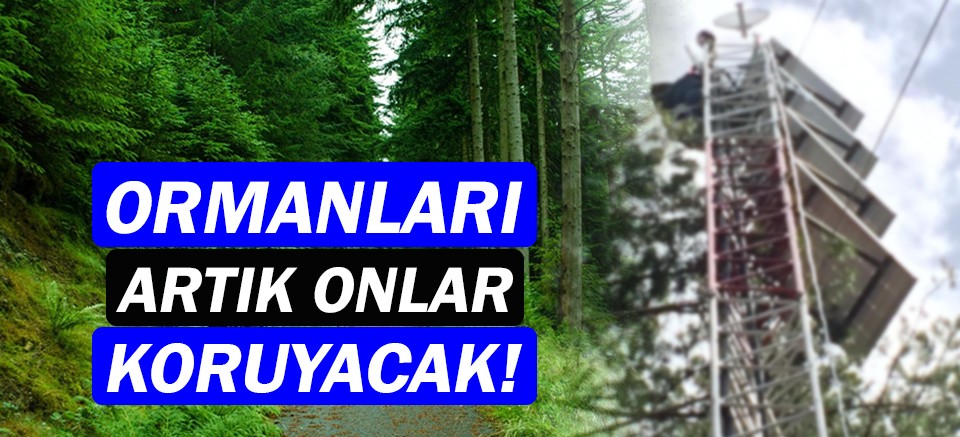 Türkiye’deki ormanları yapay zeka koruyacak